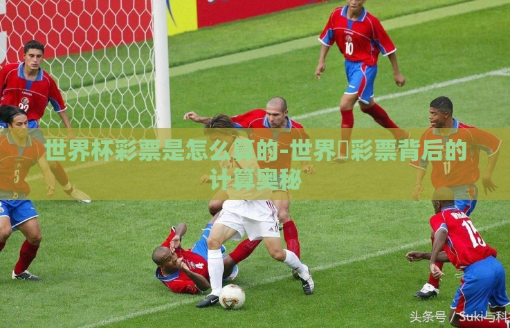 世界杯彩票是怎么算的-世界盃彩票背后的计算奥秘