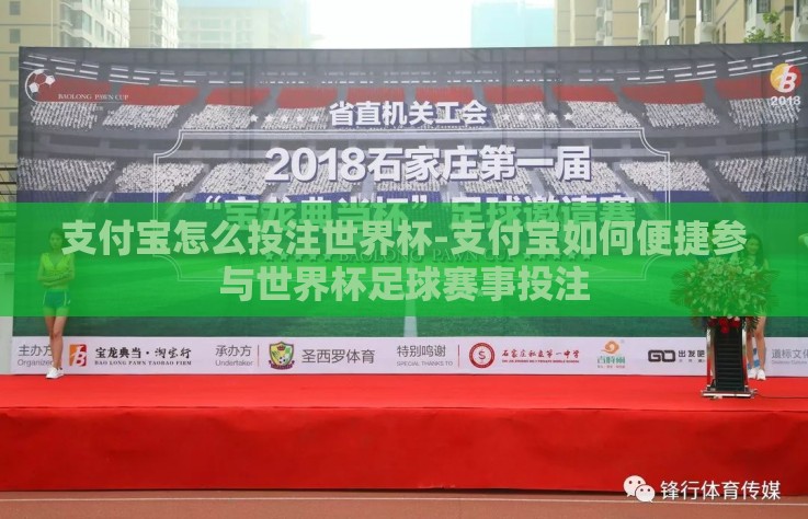 支付宝怎么投注世界杯-支付宝如何便捷参与世界杯足球赛事投注 支付宝怎么投注世界杯-支付宝如何便捷参与世界杯足球赛事投注
