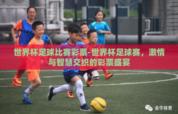 世界杯足球比赛彩票-世界杯足球赛，激情与智慧交织的彩票盛宴