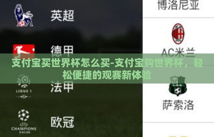 支付宝买世界杯怎么买-支付宝购世界杯，轻松便捷的观赛新体验