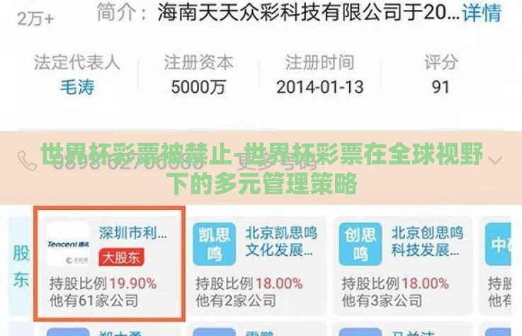 世界杯彩票被禁止-世界杯彩票在全球视野下的多元管理策略