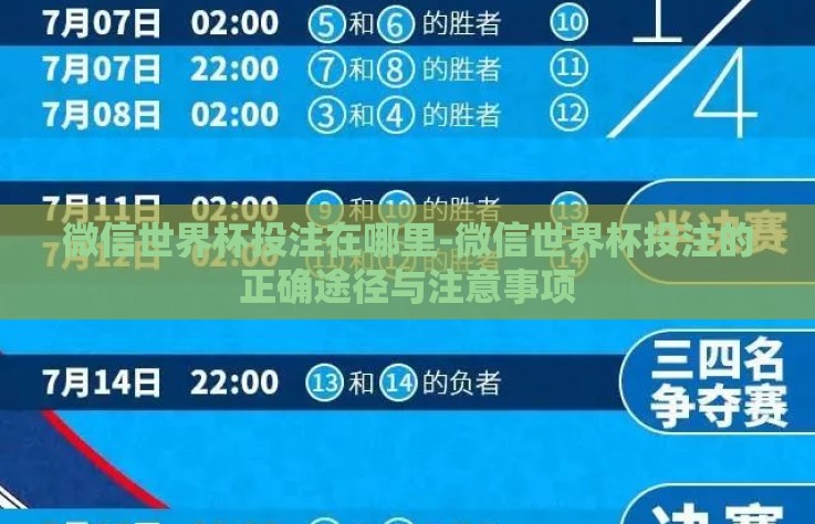 微信世界杯投注在哪里-微信世界杯投注的正确途径与注意事项