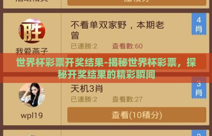 世界杯彩票开奖结果-揭秘世界杯彩票，探秘开奖结果的精彩瞬间
