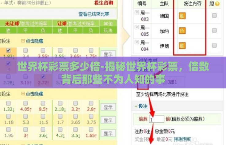 世界杯彩票多少倍-揭秘世界杯彩票，倍数背后那些不为人知的事