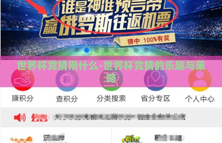 世界杯竞猜用什么-世界杯竞猜的乐趣与策略