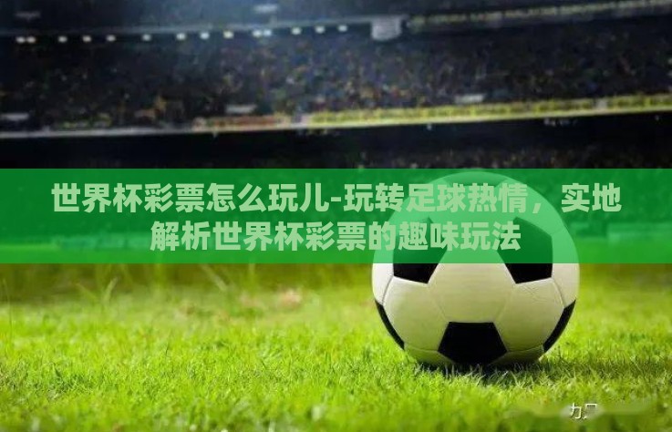 世界杯彩票怎么玩儿-玩转足球热情，实地解析世界杯彩票的趣味玩法