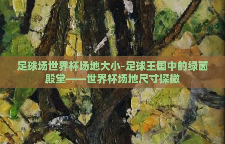 足球场世界杯场地大小-足球王国中的绿茵殿堂——世界杯场地尺寸探微