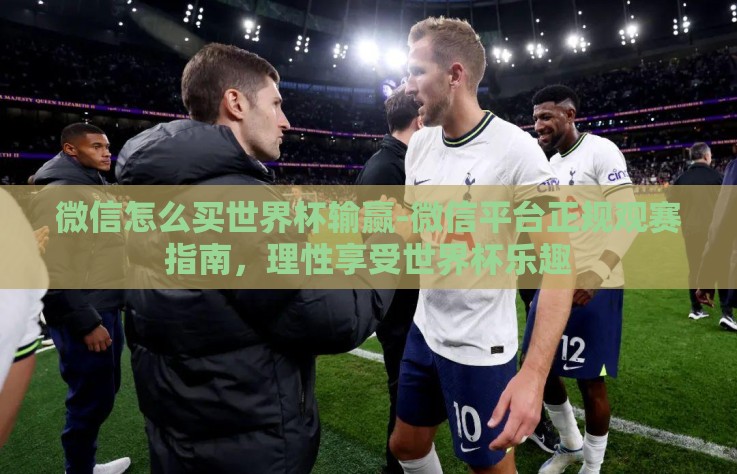 微信怎么买世界杯输赢-微信平台正规观赛指南，理性享受世界杯乐趣