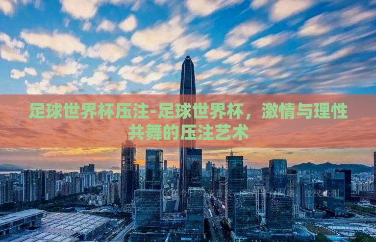 足球世界杯压注-足球世界杯，激情与理性共舞的压注艺术