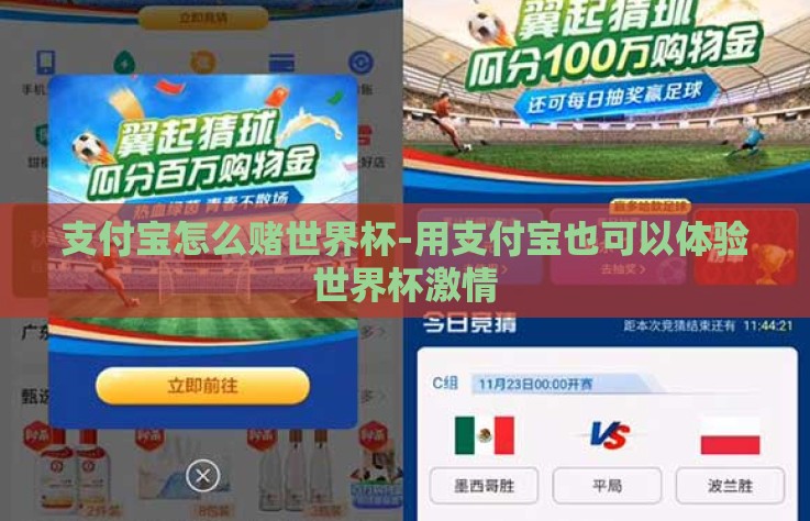 支付宝怎么赌世界杯-用支付宝也可以体验世界杯激情 支付宝怎么赌世界杯-用支付宝也可以体验世界杯激情