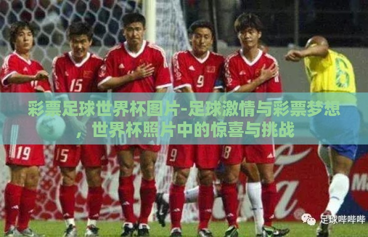 彩票足球世界杯图片-足球激情与彩票梦想，世界杯照片中的惊喜与挑战