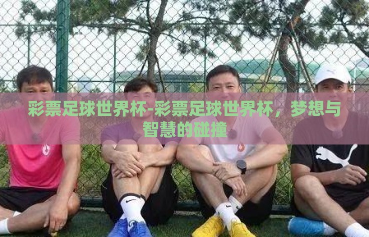 彩票足球世界杯-彩票足球世界杯，梦想与智慧的碰撞