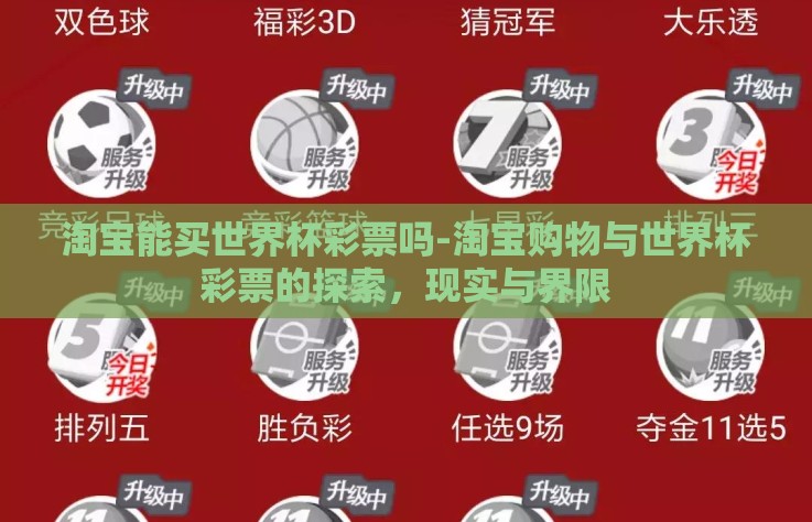 淘宝能买世界杯彩票吗-淘宝购物与世界杯彩票的探索，现实与界限