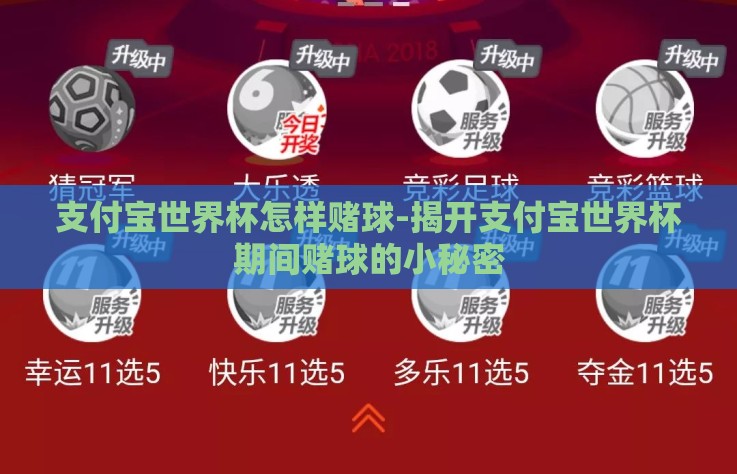 支付宝世界杯怎样赌球-揭开支付宝世界杯期间赌球的小秘密