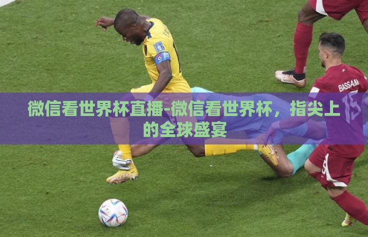 微信看世界杯直播-微信看世界杯，指尖上的全球盛宴