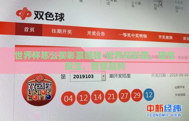 世界杯怎么买彩票赚钱-世界杯彩票，理性投注，智慧赢利