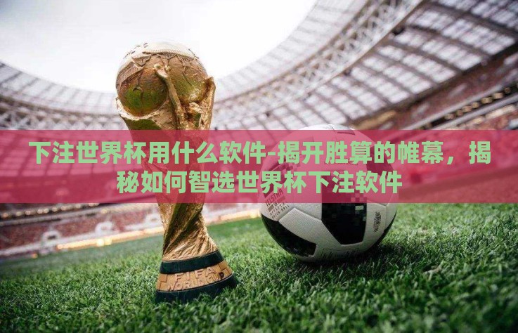 下注世界杯用什么软件-揭开胜算的帷幕，揭秘如何智选世界杯下注软件