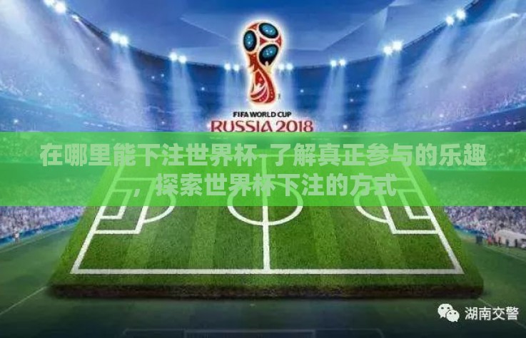 在哪里能下注世界杯-了解真正参与的乐趣，探索世界杯下注的方式