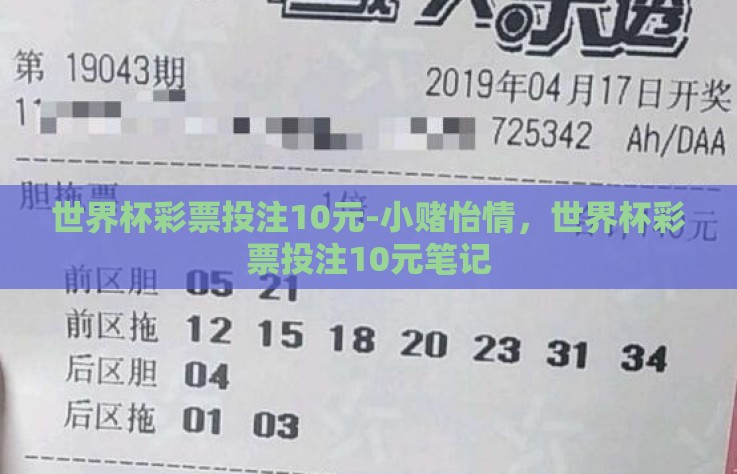 世界杯彩票投注10元-小赌怡情，世界杯彩票投注10元笔记
