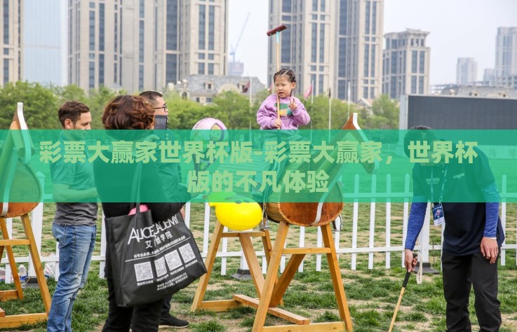 彩票大赢家世界杯版-彩票大赢家，世界杯版的不凡体验