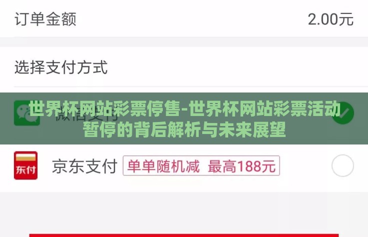 世界杯网站彩票停售-世界杯网站彩票活动暂停的背后解析与未来展望