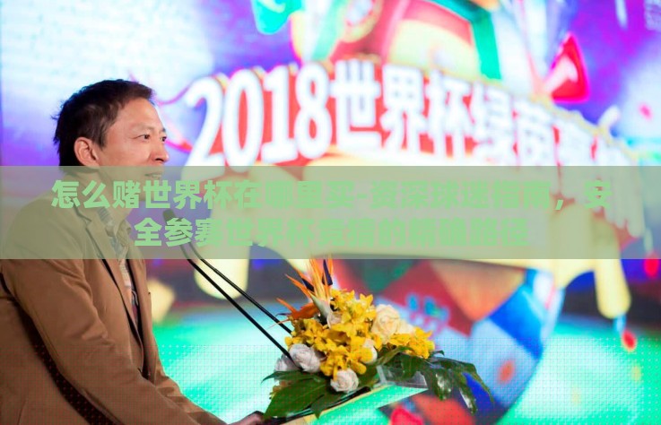 怎么赌世界杯在哪里买-资深球迷指南，安全参赛世界杯竞猜的精确路径