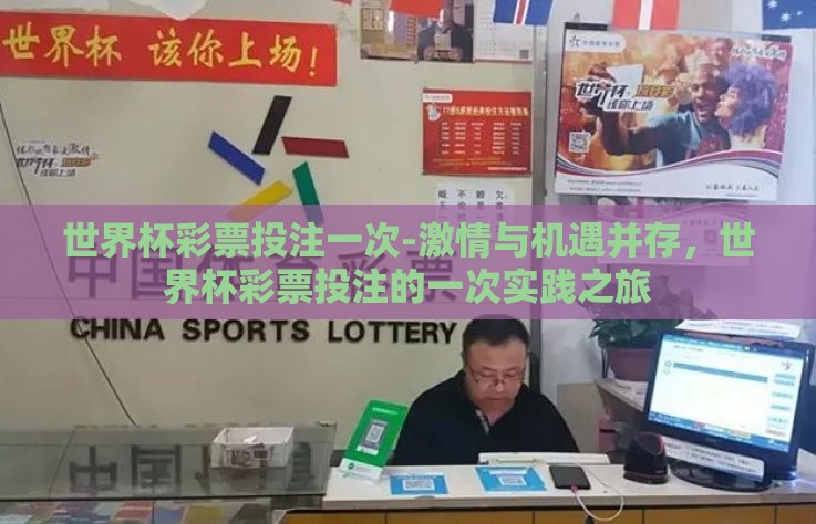 世界杯彩票投注一次-激情与机遇并存，世界杯彩票投注的一次实践之旅