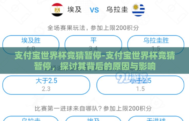支付宝世界杯竞猜暂停-支付宝世界杯竞猜暂停，探讨其背后的原因与影响