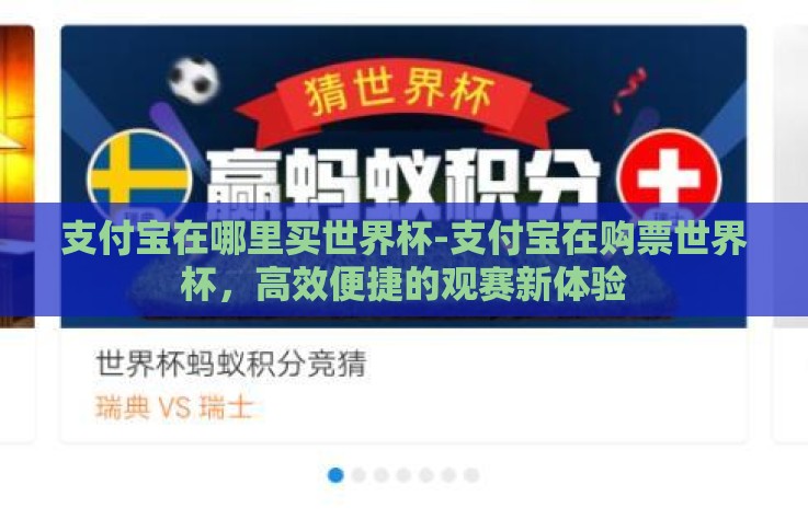 支付宝在哪里买世界杯-支付宝在购票世界杯，高效便捷的观赛新体验