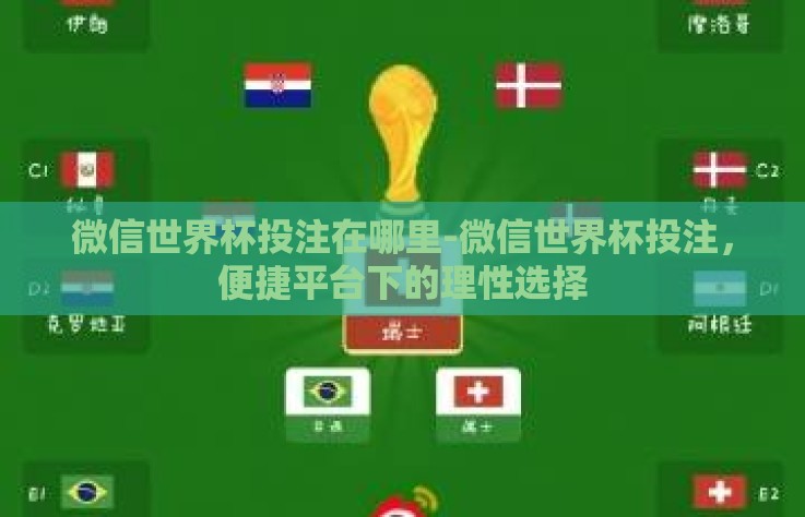 微信世界杯投注在哪里-微信世界杯投注，便捷平台下的理性选择