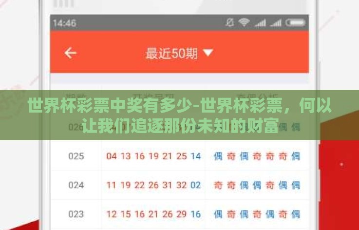世界杯彩票中奖有多少-世界杯彩票，何以让我们追逐那份未知的财富