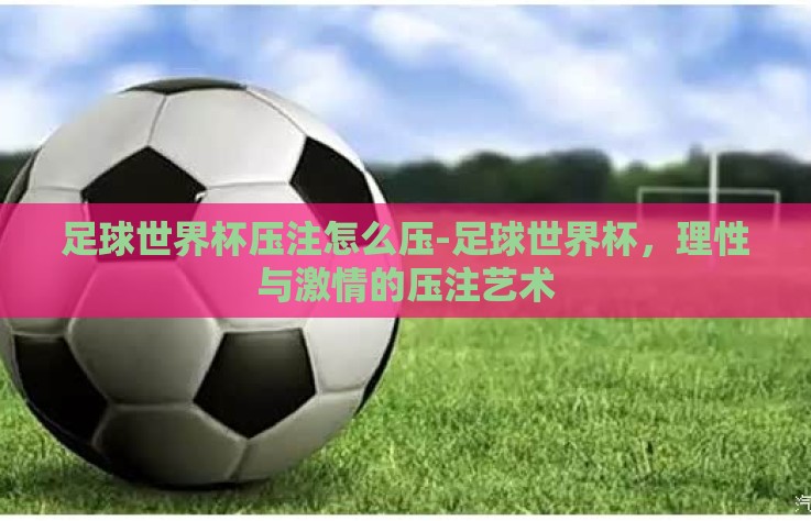 足球世界杯压注怎么压-足球世界杯，理性与激情的压注艺术