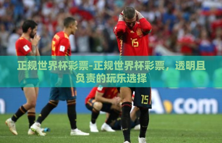 正规世界杯彩票-正规世界杯彩票，透明且负责的玩乐选择