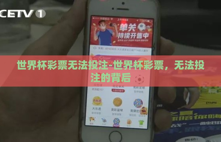 世界杯彩票无法投注-世界杯彩票，无法投注的背后