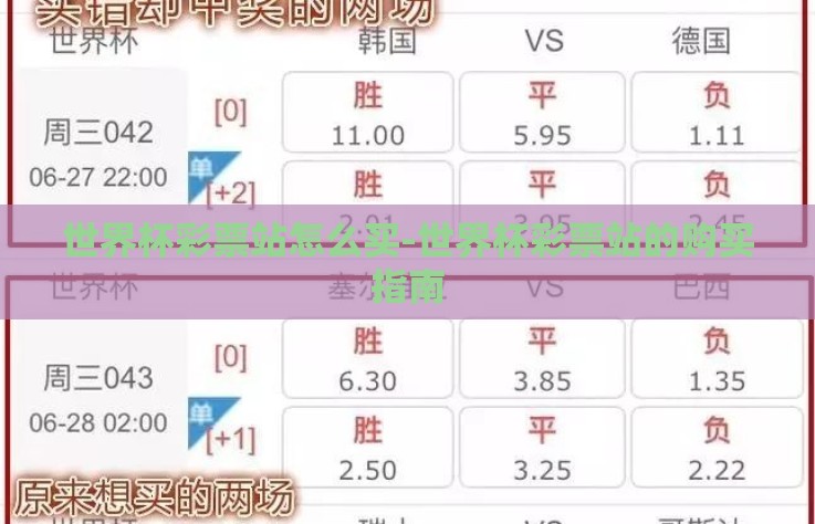 世界杯彩票站怎么买-世界杯彩票站的购买指南