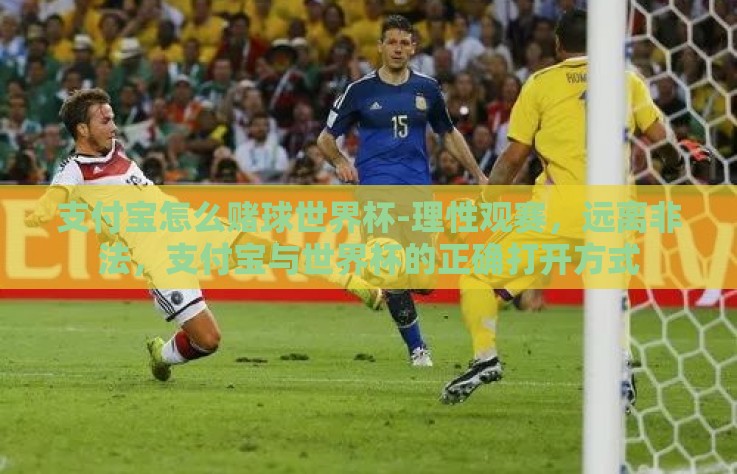 支付宝怎么赌球世界杯-理性观赛，远离非法，支付宝与世界杯的正确打开方式