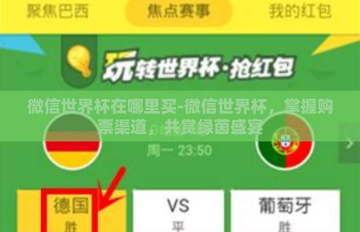 微信世界杯在哪里买-微信世界杯，掌握购票渠道，共赏绿茵盛宴