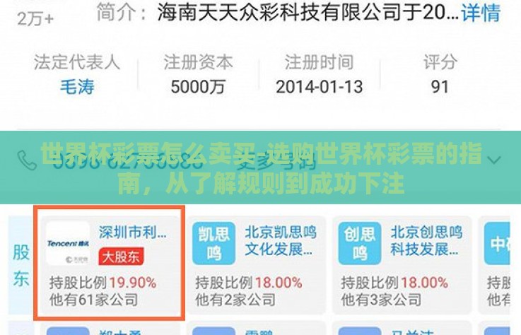 世界杯彩票怎么卖买-选购世界杯彩票的指南，从了解规则到成功下注