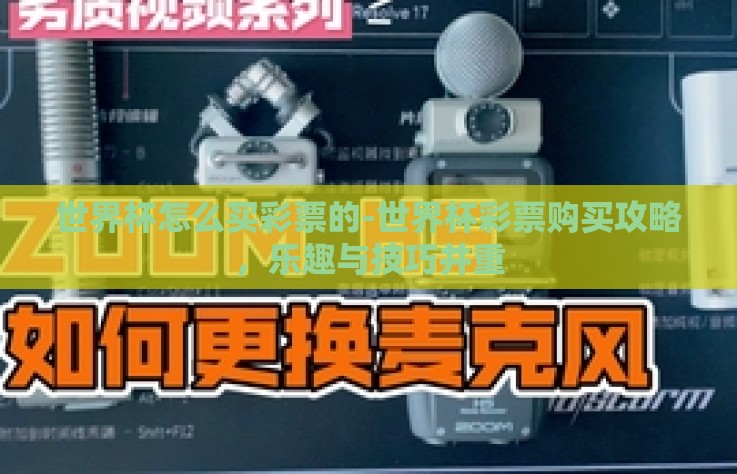 世界杯怎么买彩票的-世界杯彩票购买攻略，乐趣与技巧并重