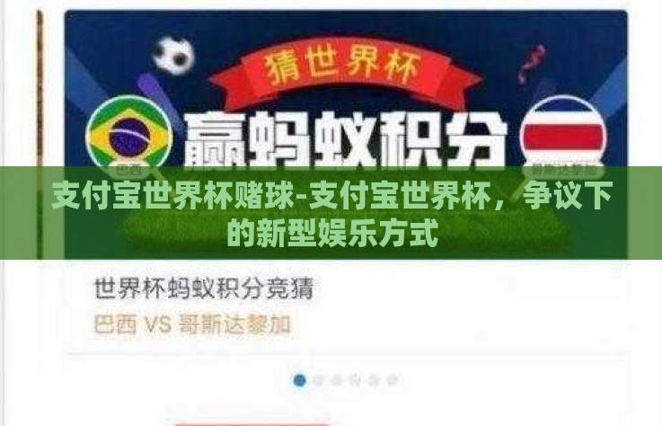 支付宝世界杯赌球-支付宝世界杯，争议下的新型娱乐方式