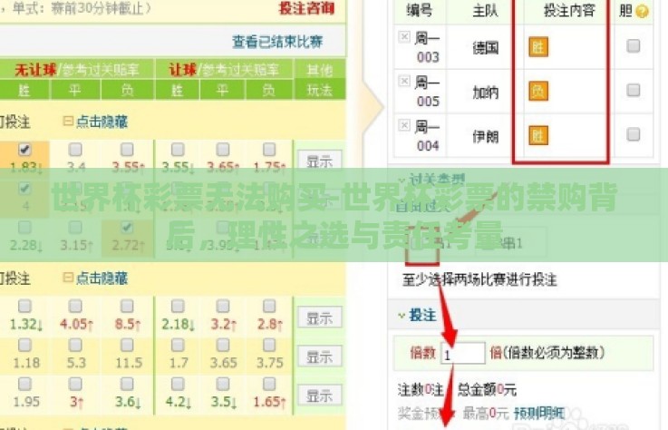 世界杯彩票无法购买-世界杯彩票的禁购背后，理性之选与责任考量