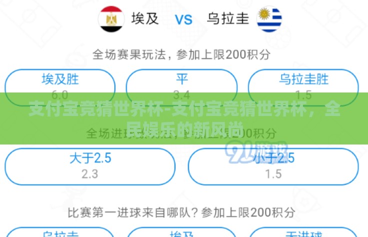 支付宝竞猜世界杯-支付宝竞猜世界杯，全民娱乐的新风尚