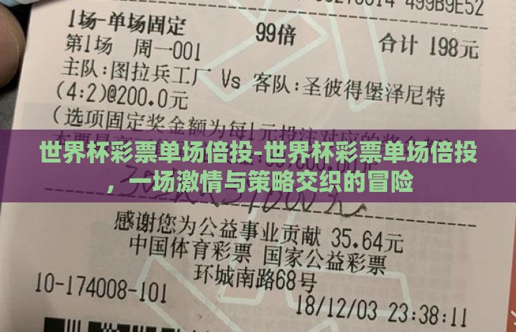 世界杯彩票单场倍投-世界杯彩票单场倍投，一场激情与策略交织的冒险