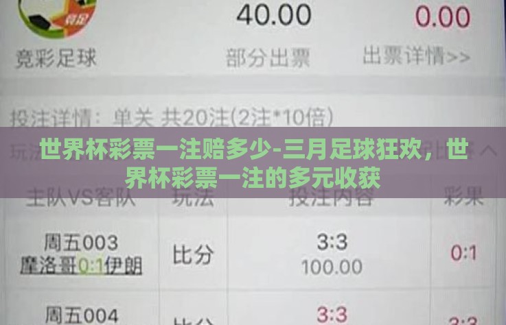 世界杯彩票一注赔多少-三月足球狂欢，世界杯彩票一注的多元收获