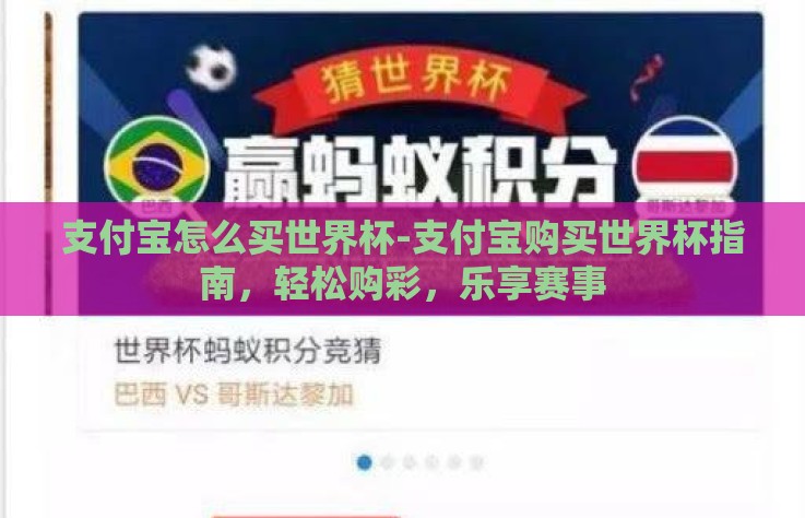 支付宝怎么买世界杯-支付宝购买世界杯指南，轻松购彩，乐享赛事