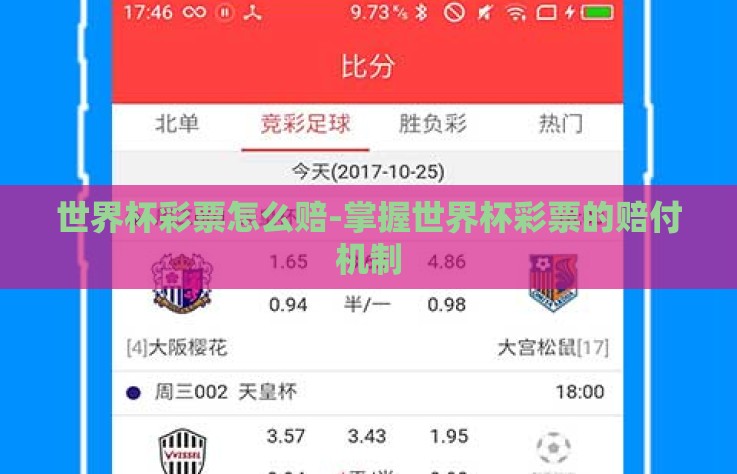 世界杯彩票怎么赔-掌握世界杯彩票的赔付机制