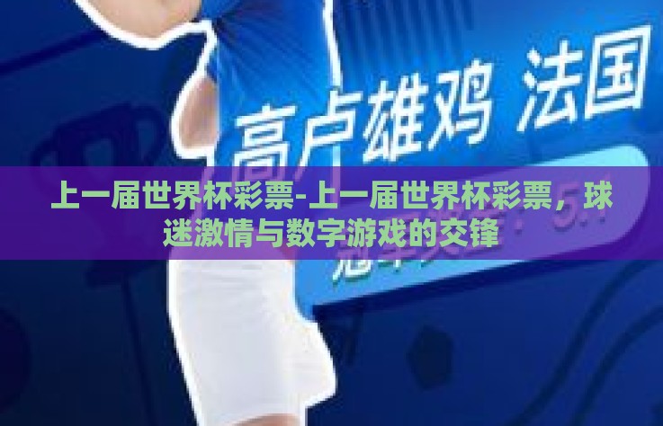 上一届世界杯彩票-上一届世界杯彩票，球迷激情与数字游戏的交锋